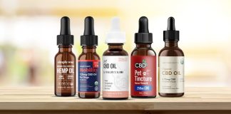 Best CBD Oil for Dogs with Arthritis in 2023 – Top 5 Pet Care Products