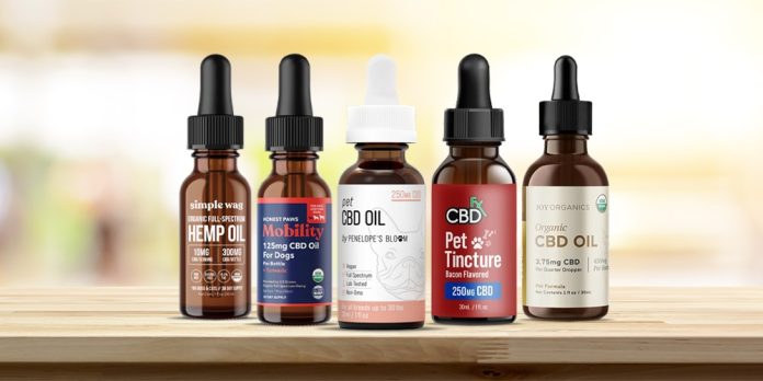 Best CBD Oil for Dogs with Arthritis in 2023 – Top 5 Pet Care Products