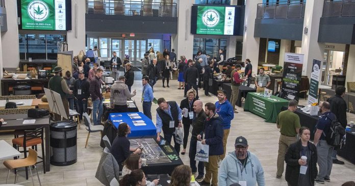  conferencia de cannabis NCCC un gran éxito |  Noticias
