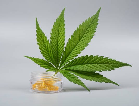  ¿Qué es la colofonia de hachís?  Explicación de la colofonia de cannabis
