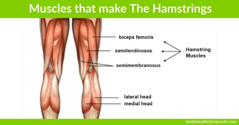 Tight Hamstrings: Symptoms, Causes and Treatment