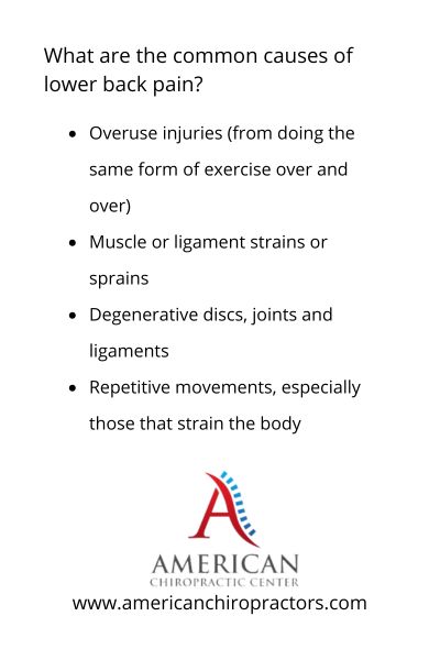 What are the common causes of lower back pain