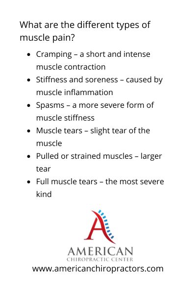 What are the different types of muscle pain